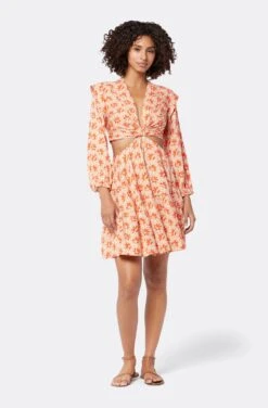 Joie Maeve Mini Dress