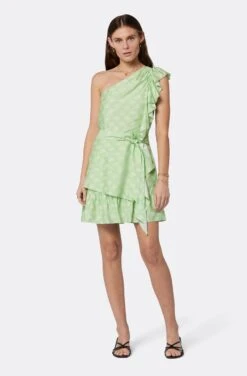 Joie Nerea Mini Dress
