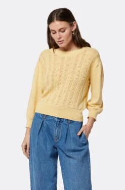 Joie Charlotte Crew Neck Cotton Sweater